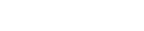 Amusnet logo